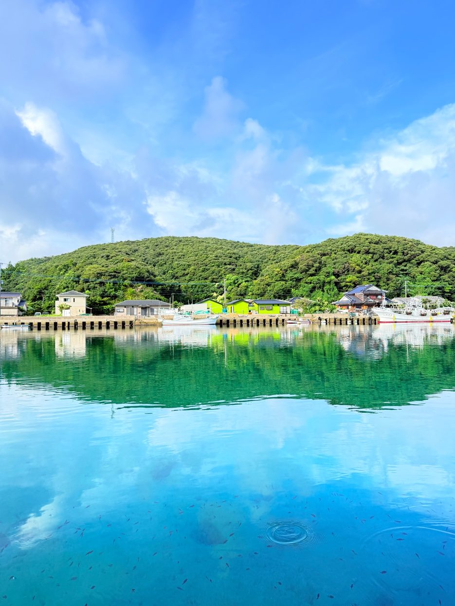 対馬の透明な海